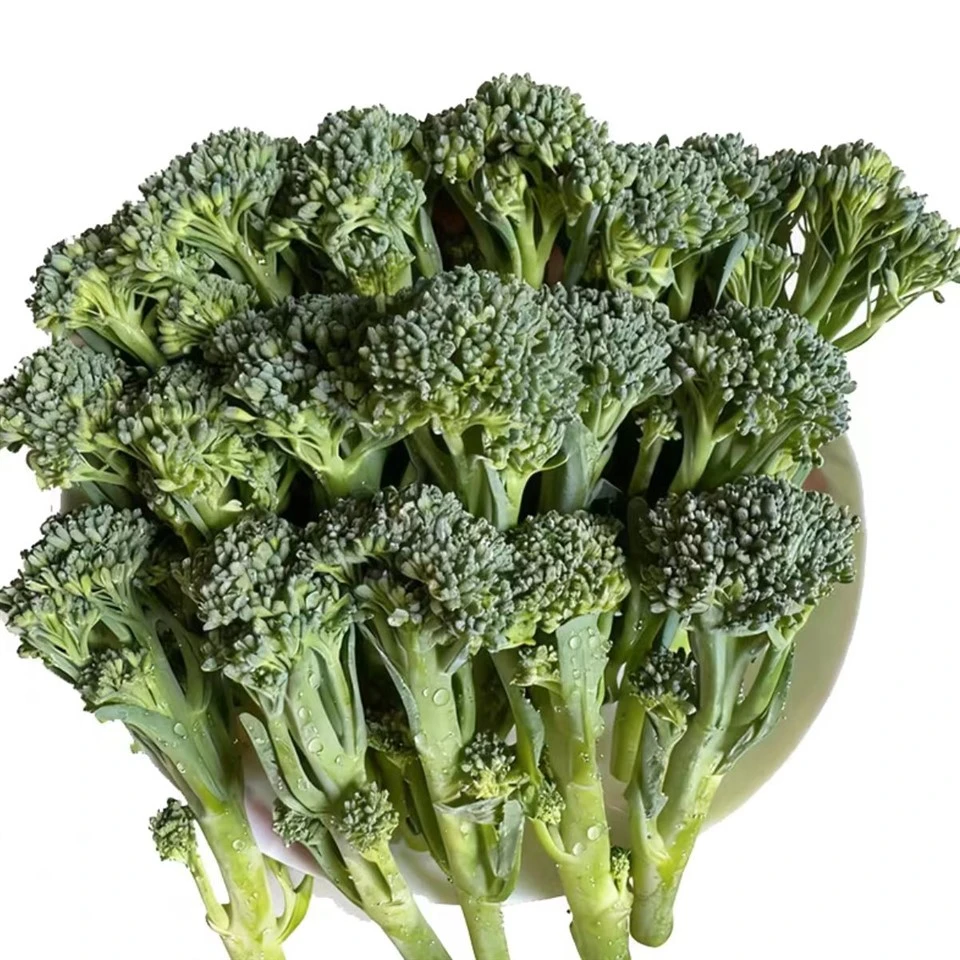 Broccolini Planting