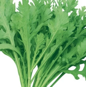 Large Frilly Leaf Garland Chrysanthemum Seeds GA-LF