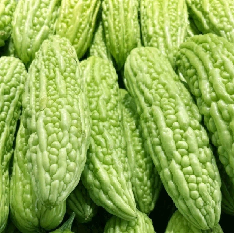 Bitter gourd (3)