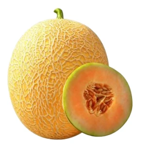 Oval Shape Orange-red Flesh Melon Seeds ME-151