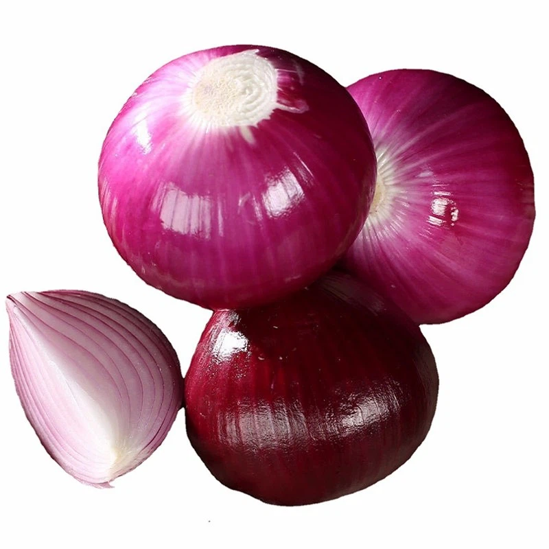 Purple Onion Seeds