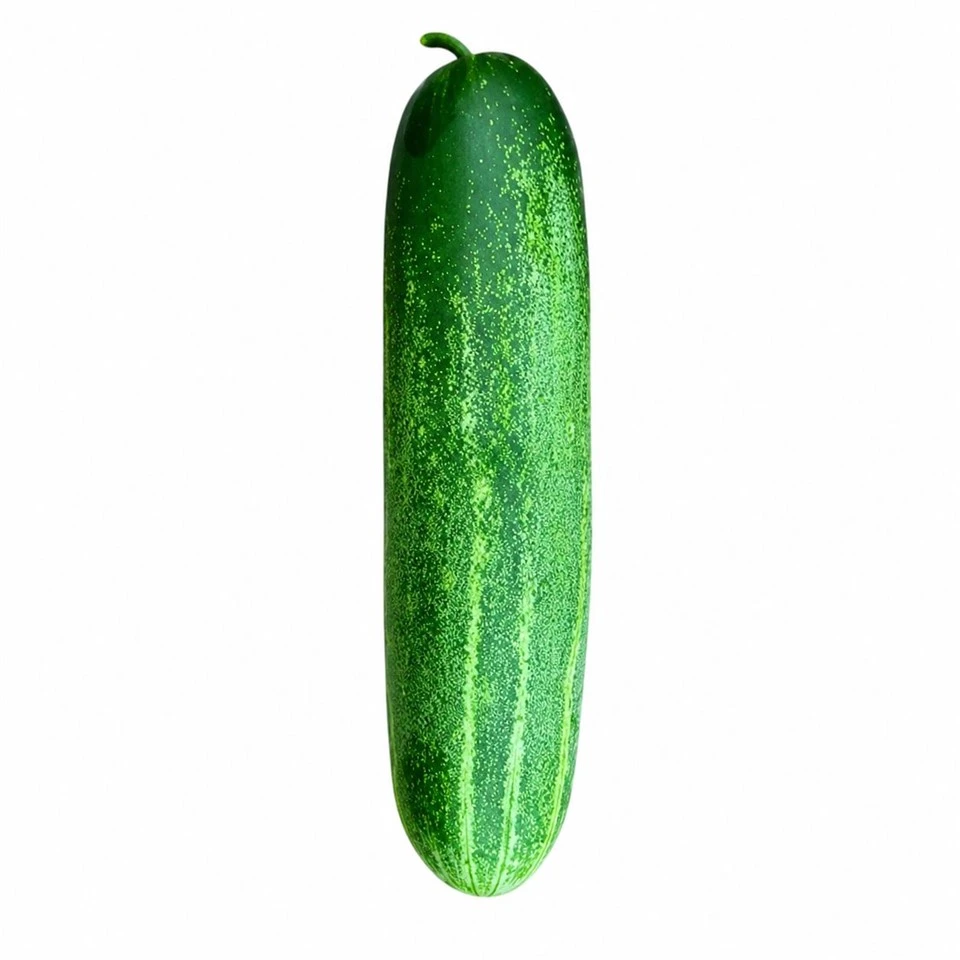 Thailand Type Early Maturity Cucumber Seeds CU-TH